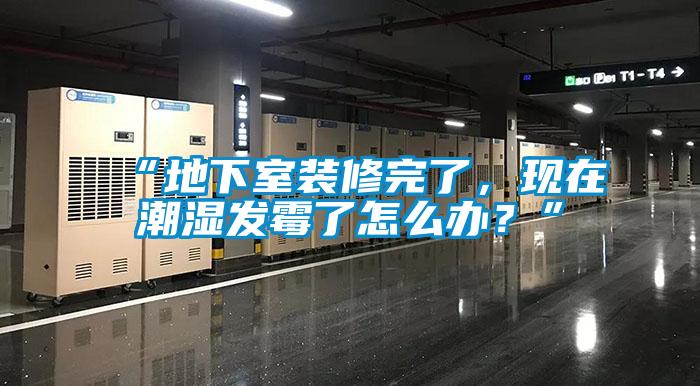 “地下室裝修完了,現在潮濕發霉了怎么辦?”