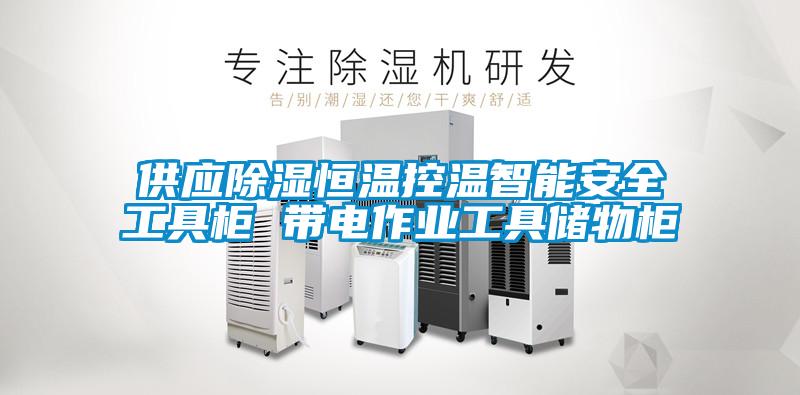 供應除濕恒溫控溫智能安全工具柜 帶電作業工具儲物柜