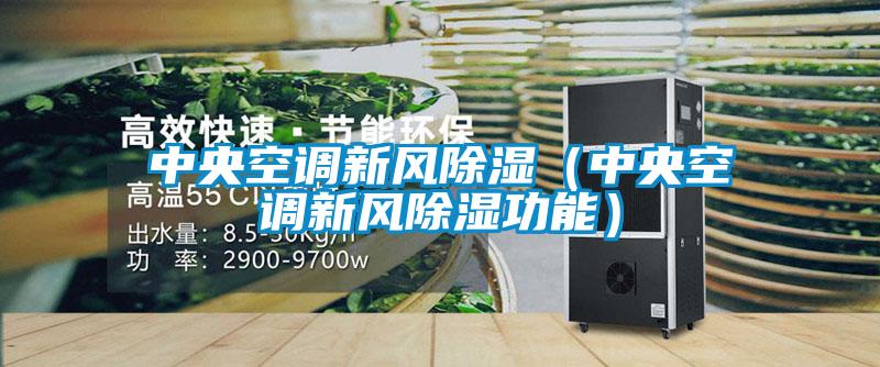 中央空調(diào)新風(fēng)除濕(中央空調(diào)新風(fēng)除濕功能)