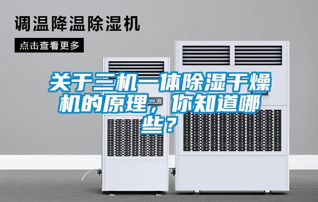 關于三機一體除濕干燥機的原理,你知道哪些?