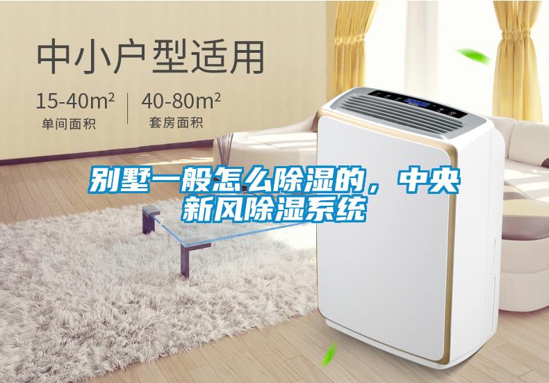 別墅一般怎么除濕的，中央新風除濕系統