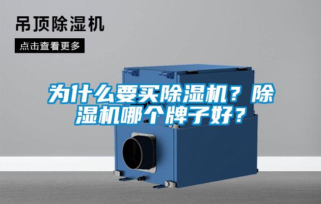 為什么要買(mǎi)除濕機(jī)？除濕機(jī)哪個(gè)牌子好？