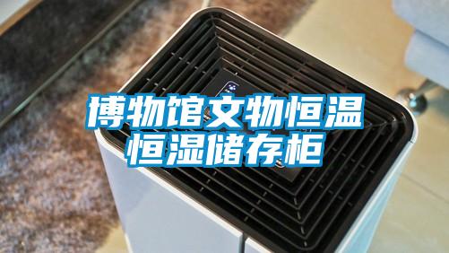 博物館文物恒溫恒濕儲存柜