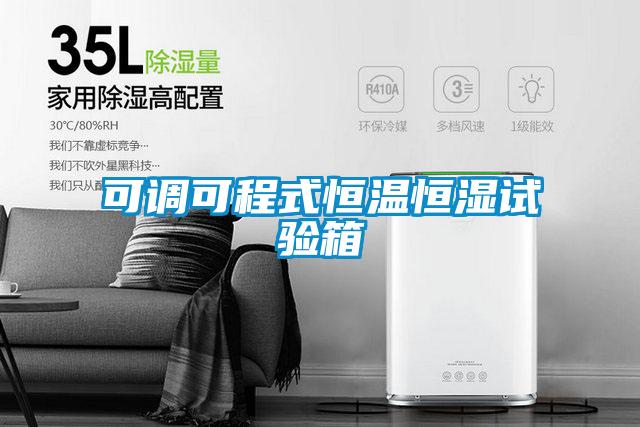 可調(diào)可程式恒溫恒濕試驗箱