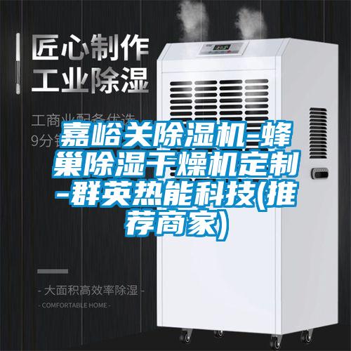 嘉峪關除濕機-蜂巢除濕干燥機定制-群英熱能科技(推薦商家)