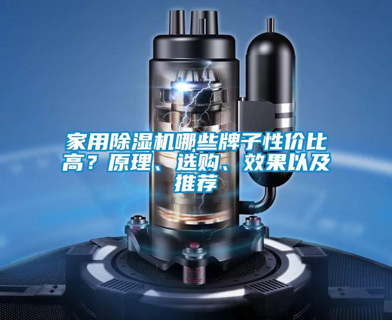 家用除濕機(jī)哪些牌子性價(jià)比高？原理、選購(gòu)、效果以及推薦