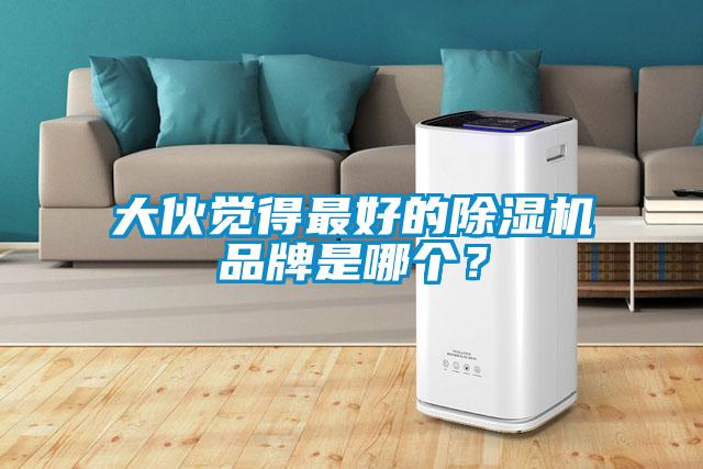 大伙覺得最好的除濕機品牌是哪個？
