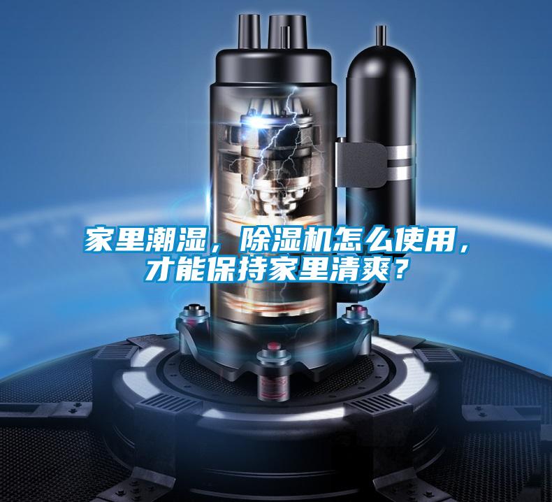 家里潮濕，除濕機怎么使用，才能保持家里清爽？