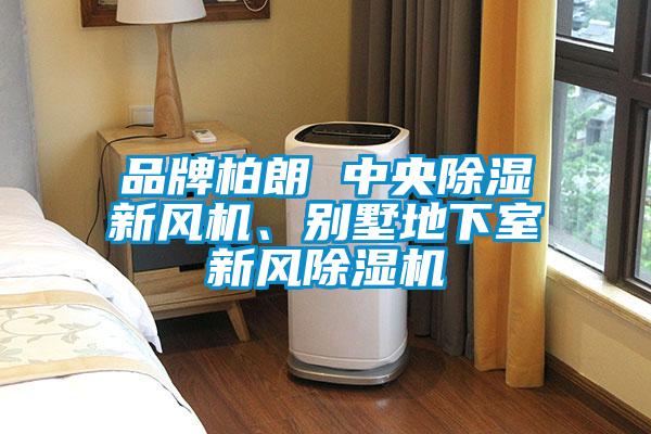 品牌柏朗 中央除濕新風機、別墅地下室新風除濕機