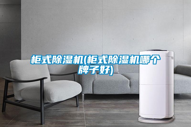 柜式除濕機(jī)(柜式除濕機(jī)哪個(gè)牌子好)