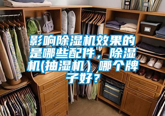 影響除濕機效果的是哪些配件，除濕機(抽濕機）哪個牌子好？