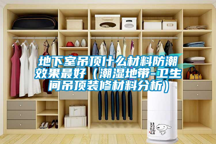 地下室吊頂什么材料防潮效果最好(潮濕地帶-衛生間吊頂裝修材料分析)