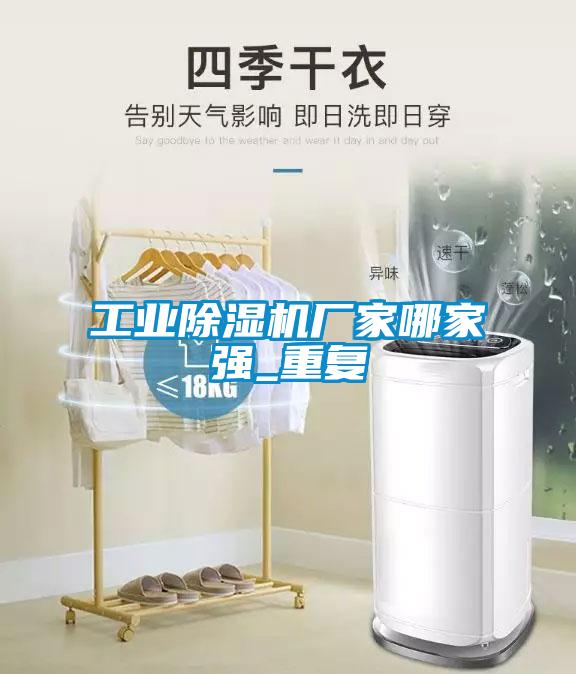 工業(yè)除濕機廠家哪家強_重復