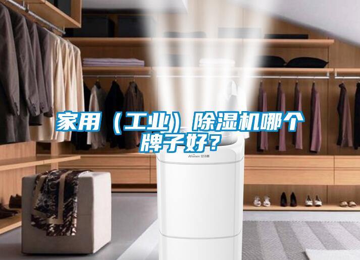 家用（工業(yè)）除濕機哪個牌子好？