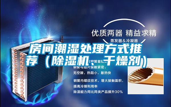 房間潮濕處理方式推薦(除濕機(jī)、干燥劑)