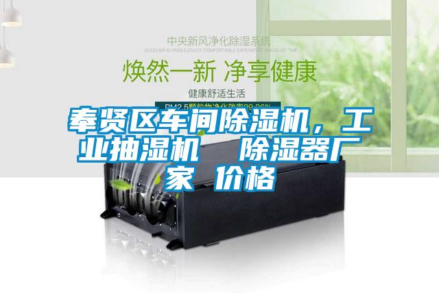 奉賢區(qū)車間除濕機，工業(yè)抽濕機  除濕器廠家 價格