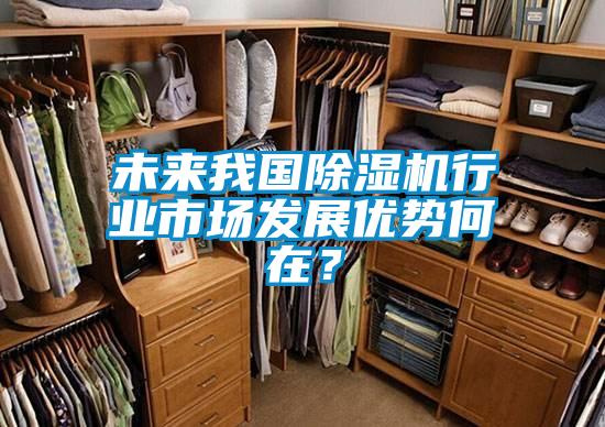 未來我國除濕機行業市場發展優勢何在？
