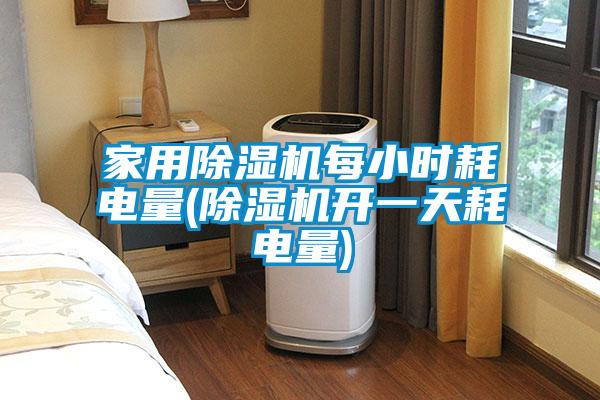 家用除濕機(jī)每小時(shí)耗電量(除濕機(jī)開一天耗電量)