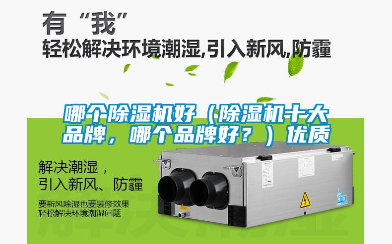 哪個除濕機好（除濕機十大品牌，哪個品牌好？）優質