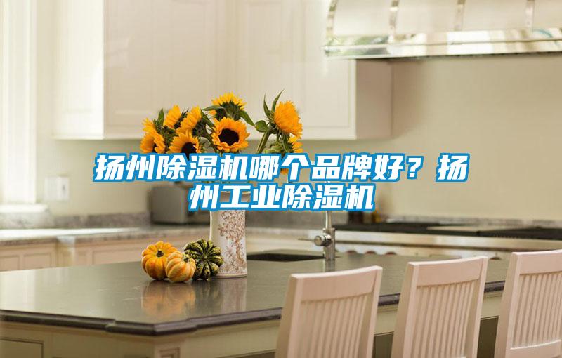 揚州除濕機哪個品牌好?揚州工業(yè)除濕機
