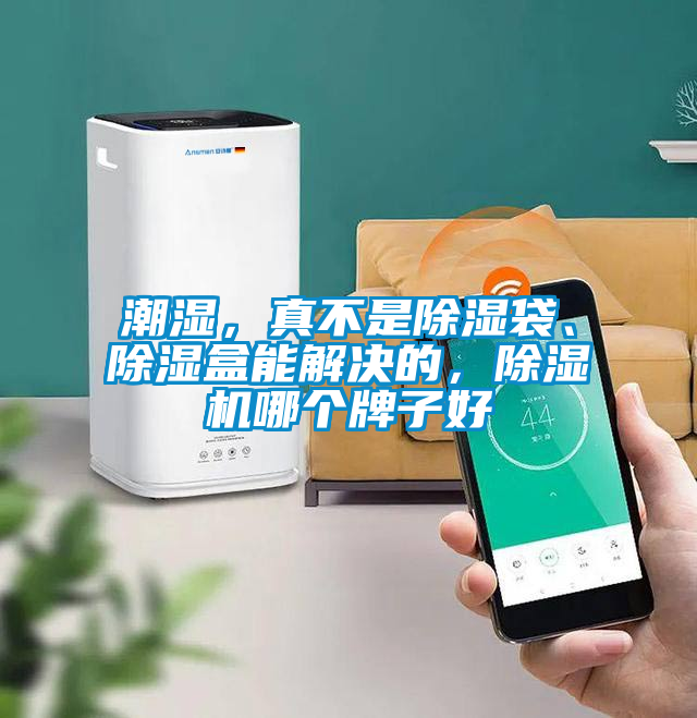 潮濕，真不是除濕袋、除濕盒能解決的，除濕機哪個牌子好