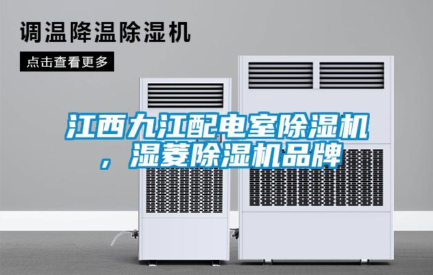 江西九江配電室除濕機(jī)，濕菱除濕機(jī)品牌