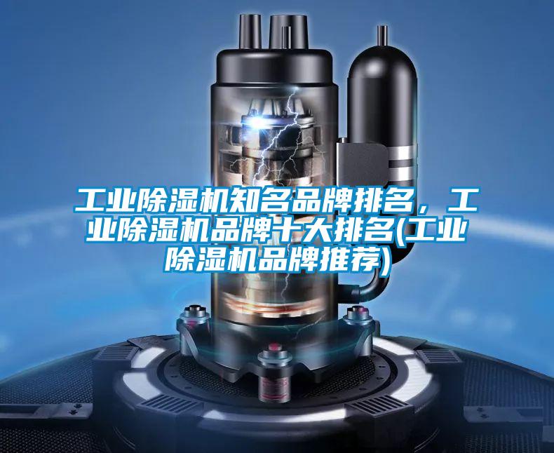 工業(yè)除濕機(jī)知名品牌排名,工業(yè)除濕機(jī)品牌十大排名(工業(yè)除濕機(jī)品牌推薦)