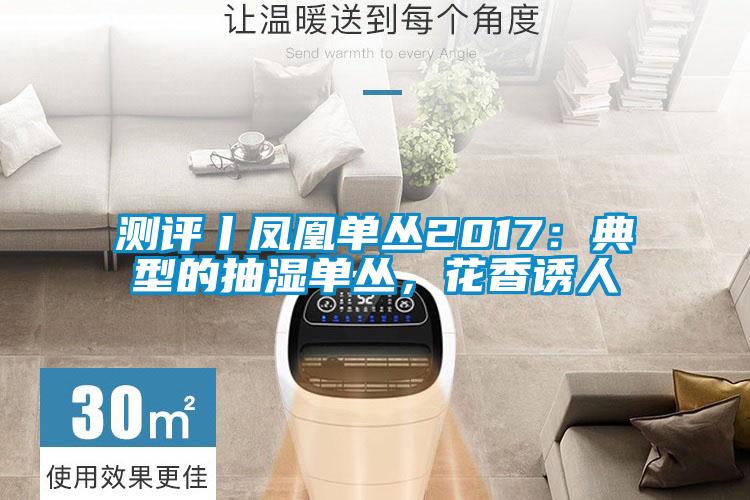 測(cè)評(píng)丨鳳凰單叢2017:典型的抽濕單叢,花香誘人