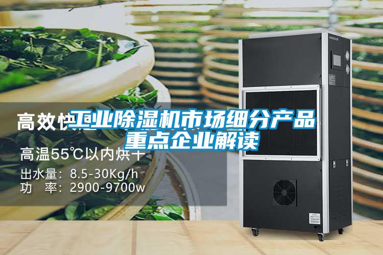 工業(yè)除濕機(jī)市場(chǎng)細(xì)分產(chǎn)品重點(diǎn)企業(yè)解讀