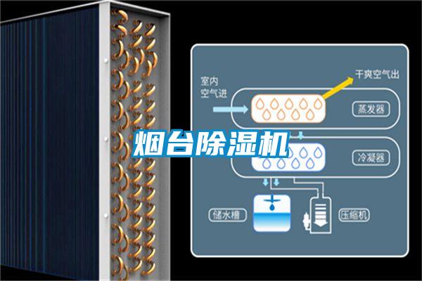 煙臺除濕機(jī)