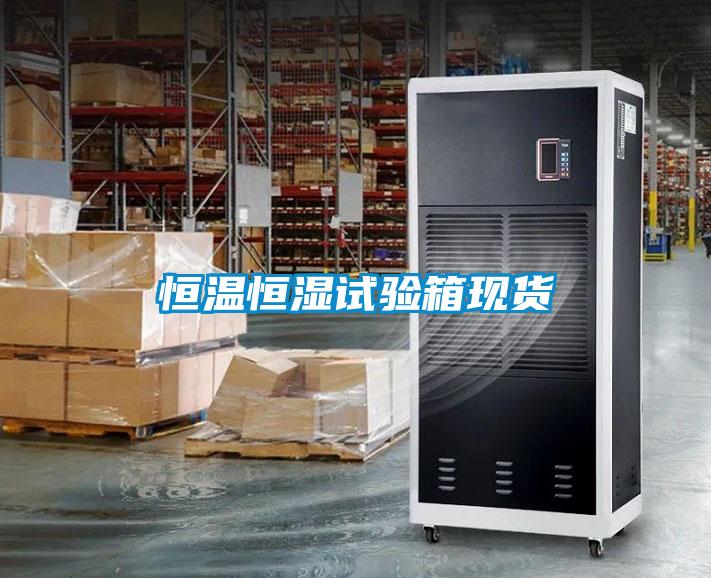 恒溫恒濕試驗箱現(xiàn)貨