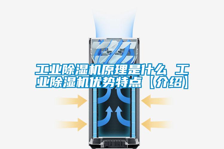 工業除濕機原理是什么 工業除濕機優勢特點【介紹】