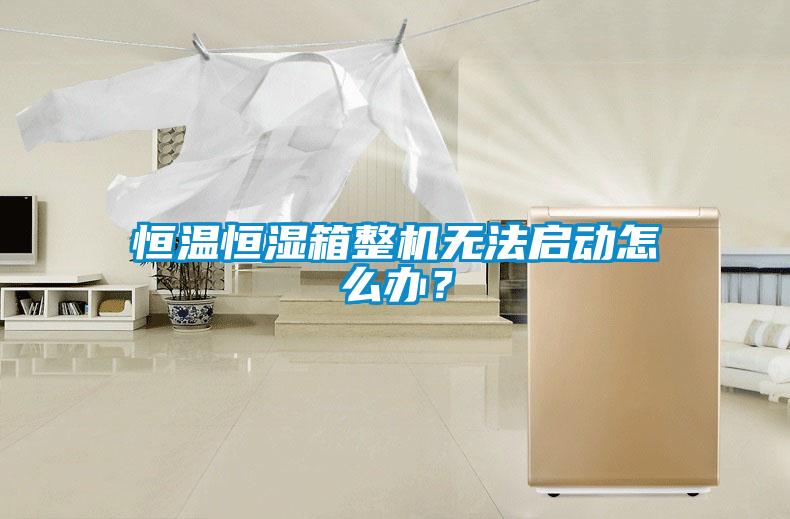 恒溫恒濕箱整機無法啟動怎么辦？