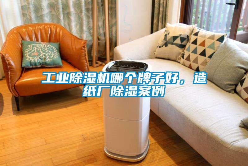 工業除濕機哪個牌子好，造紙廠除濕案例