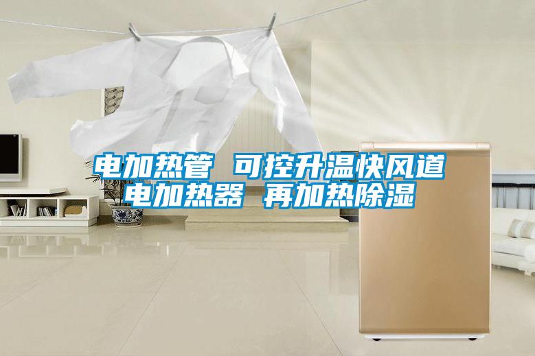 電加熱管 可控升溫快風道電加熱器 再加熱除濕