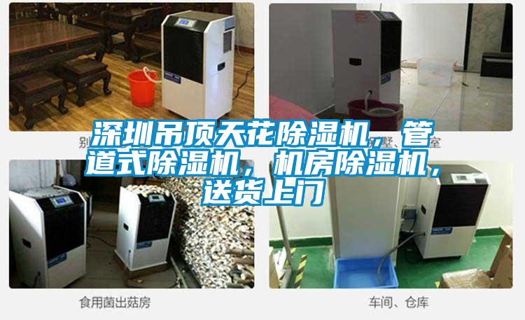 深圳吊頂天花除濕機(jī)，管道式除濕機(jī)，機(jī)房除濕機(jī)，送貨上門