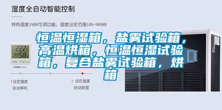 恒溫恒濕箱，鹽霧試驗(yàn)箱，高溫烘箱，恒溫恒濕試驗(yàn)箱，復(fù)合鹽霧試驗(yàn)箱，烘箱