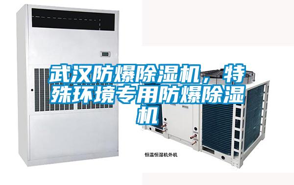 武漢防爆除濕機，特殊環境專用防爆除濕機