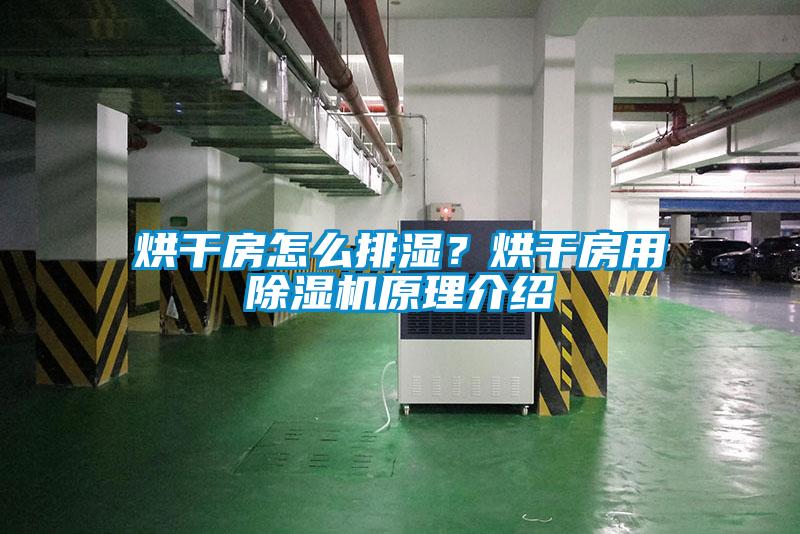 烘干房怎么排濕？烘干房用除濕機原理介紹
