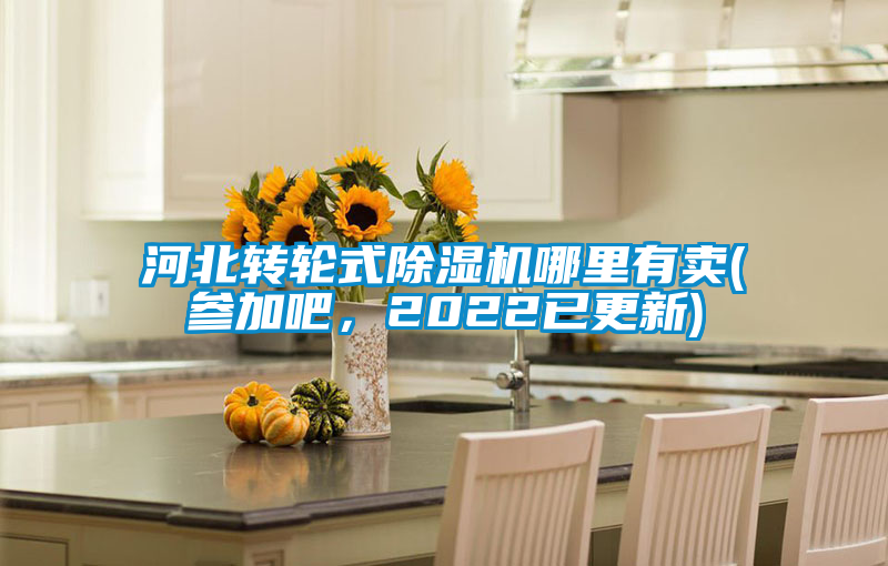 河北轉(zhuǎn)輪式除濕機(jī)哪里有賣(參加吧，2022已更新)