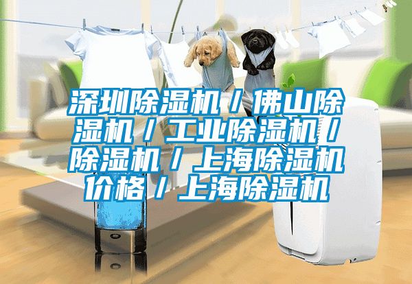 深圳除濕機／佛山除濕機／工業除濕機／除濕機／上海除濕機價格／上海除濕機