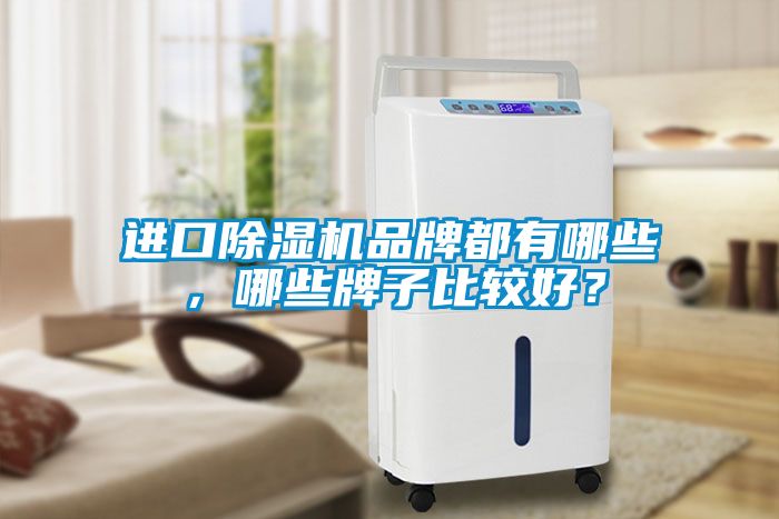 進口除濕機品牌都有哪些，哪些牌子比較好？