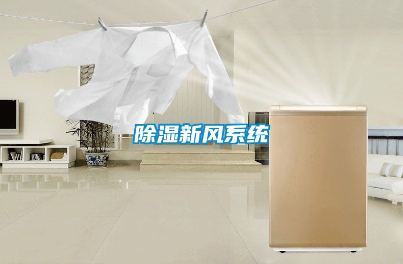 除濕新風(fēng)系統(tǒng)