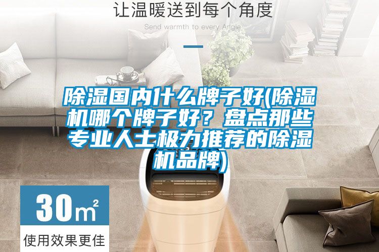 除濕國內(nèi)什么牌子好(除濕機哪個牌子好？盤點那些專業(yè)人士極力推薦的除濕機品牌)