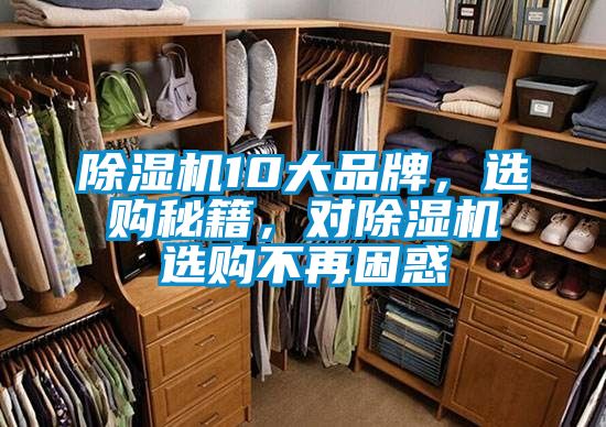 除濕機10大品牌，選購秘籍，對除濕機選購不再困惑