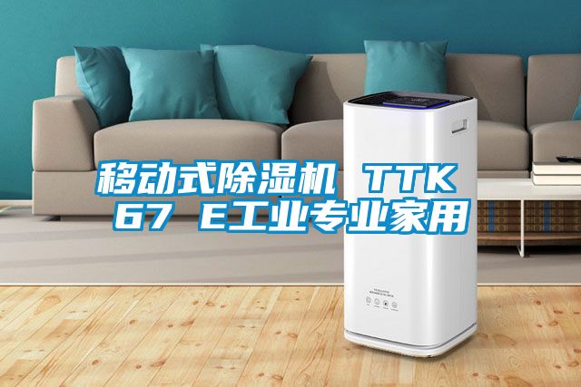移動式除濕機(jī) TTK 67 E工業(yè)專業(yè)家用