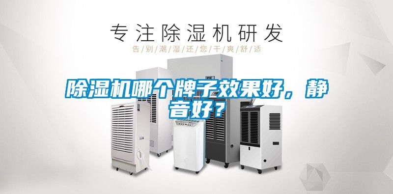 除濕機(jī)哪個(gè)牌子效果好，靜音好？