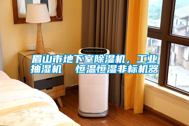 眉山市地下室除濕機(jī)，工業(yè)抽濕機(jī)  恒溫恒濕非標(biāo)機(jī)器