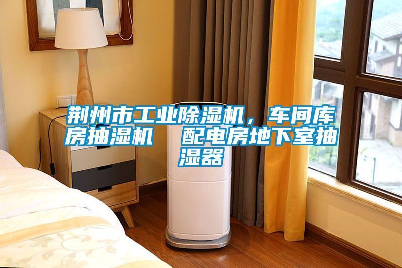 荊州市工業(yè)除濕機，車間庫房抽濕機  配電房地下室抽濕器