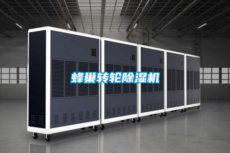 蜂巢轉輪除濕機